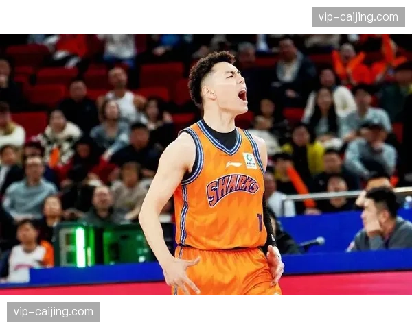 李添荣三分命中率58.7%加冕三分王 上海射手效率惊人